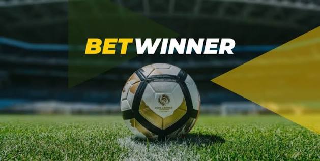 Complete Guide to BetWinner Login