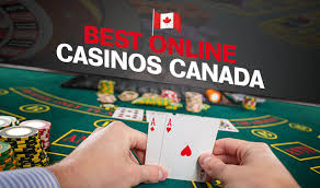 Discover the Best Gambling Sites Online for an Unmatched Experience